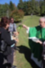 Blessing of the Animals